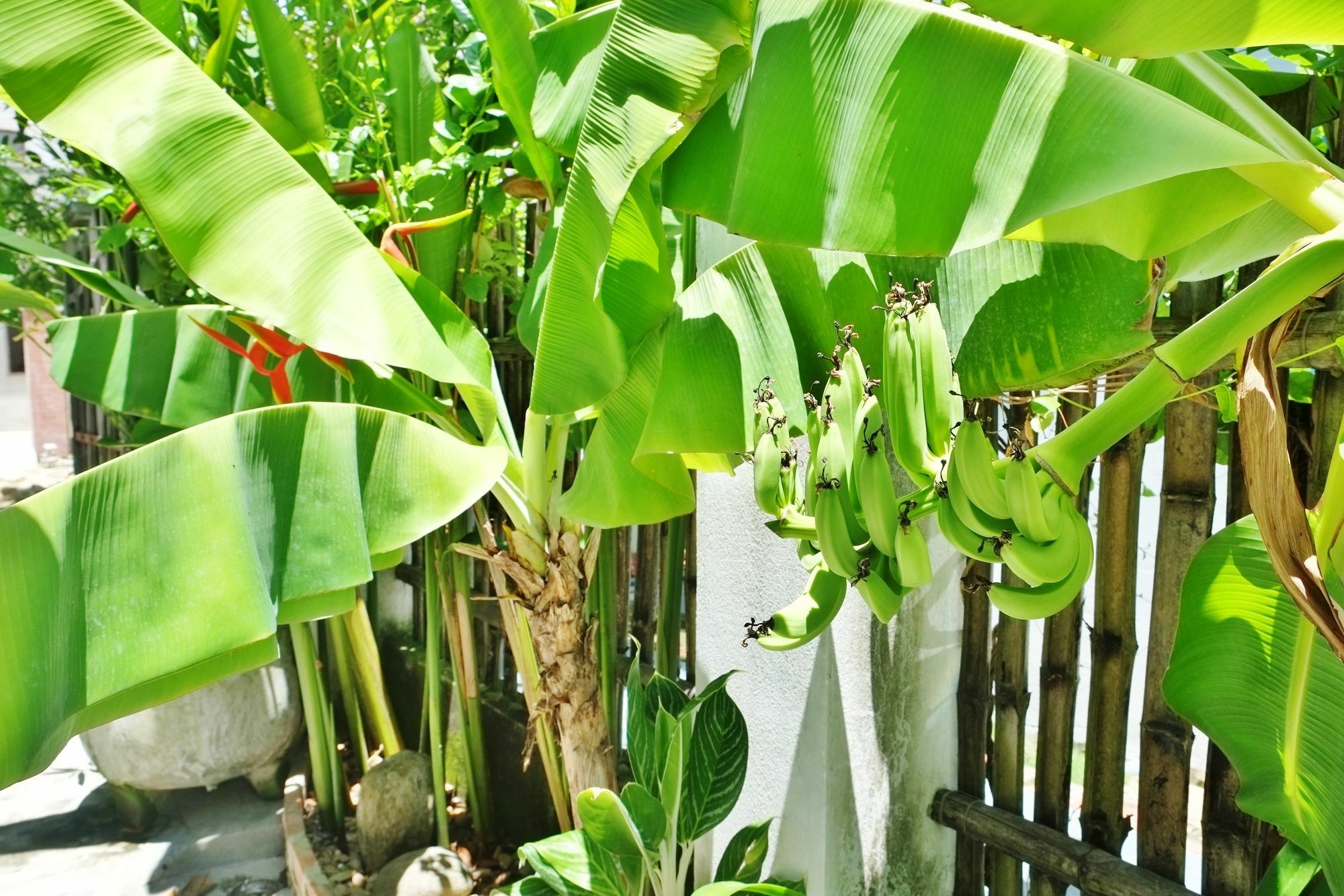 An Bang Beach Holidays Hoi An Bagian luar foto
